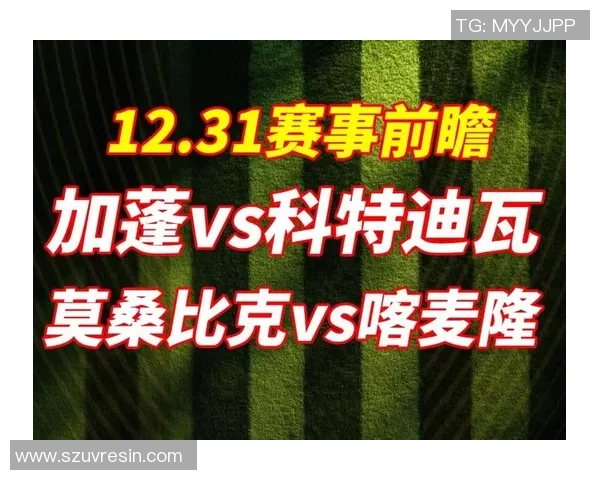 科特迪瓦与加蓬激战在即谁将赢得这场非洲足球盛宴